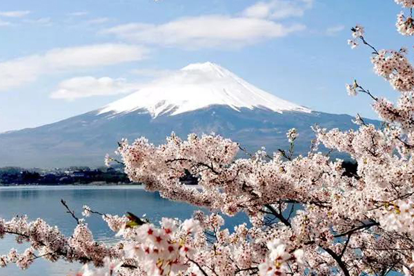 莱芜市高端日本留学签证费用