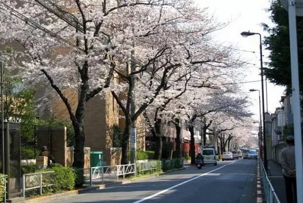 日本干净的街道