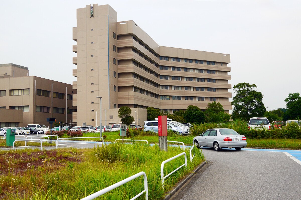 日本大学校园.jpg